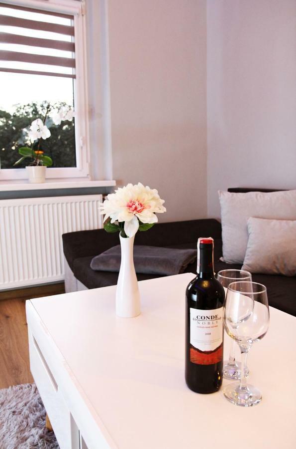 Wolnosci 21 Jelenia Gora Apartment Luaran gambar
